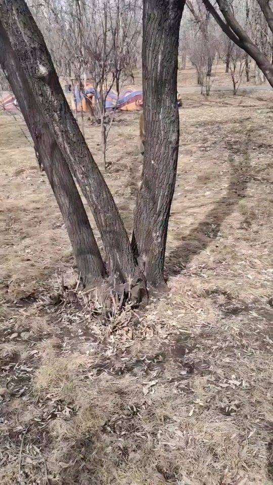 TikTok video thumbnail by bez_cherepa_man