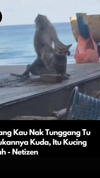 TikTok video thumbnail by rakyattrends