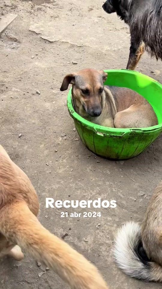 TikTok video thumbnail by lamanadaderuth