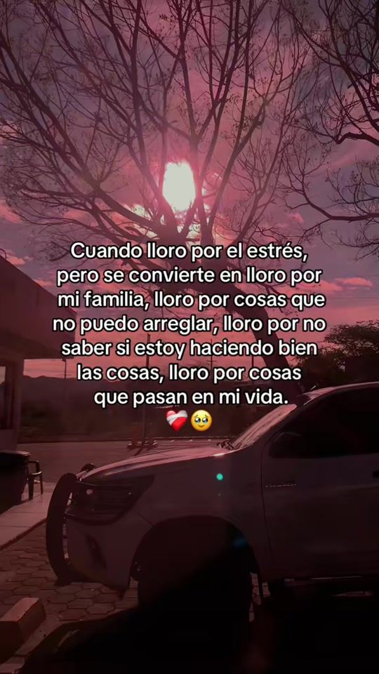 TikTok video thumbnail by videos_of_everything12