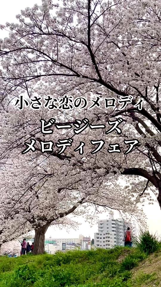 TikTok video thumbnail by 18umi7