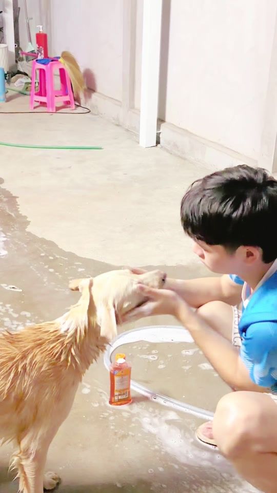TikTok video thumbnail by namaoy_tmv