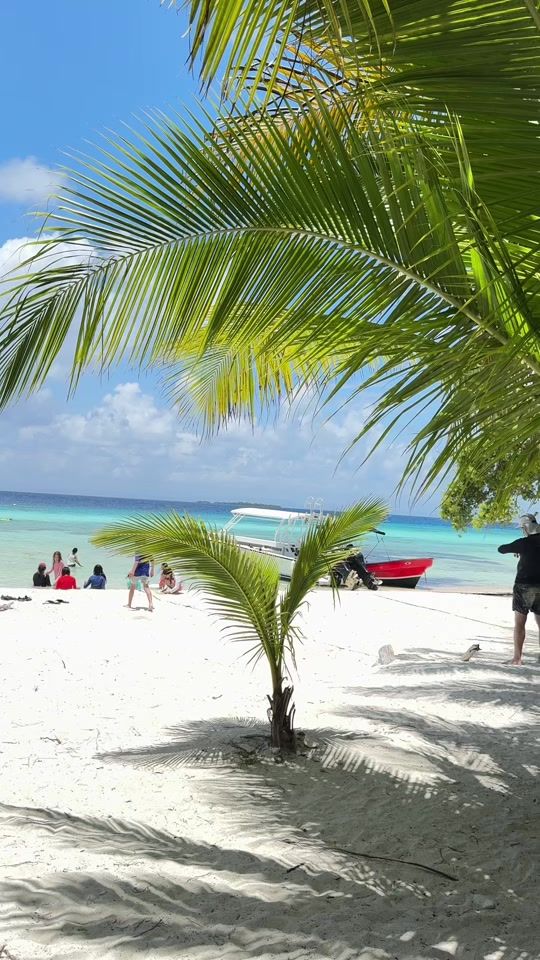 TikTok video thumbnail by bucketlisttoursbelize