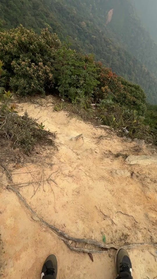 TikTok video thumbnail by quang_dy