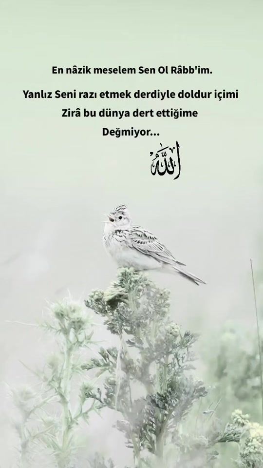 TikTok video thumbnail by meryem__74_52