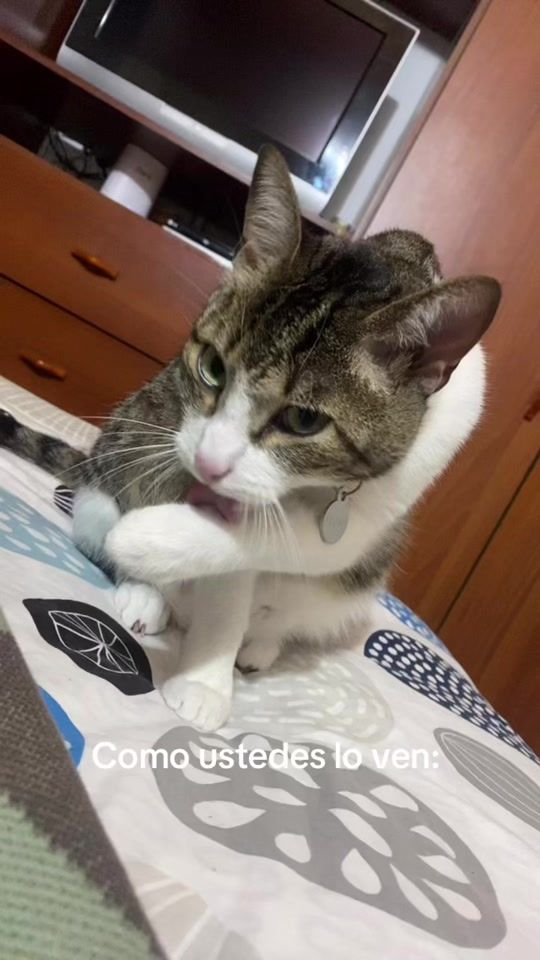 TikTok video thumbnail by luisapabon00