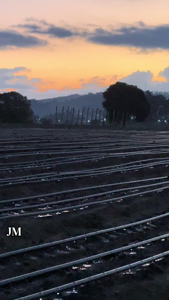 TikTok video thumbnail by agriguate