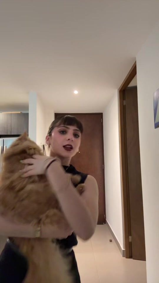 TikTok video thumbnail by briandao777