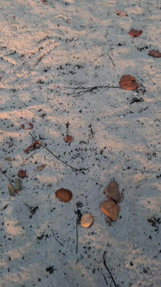 TikTok video thumbnail by smoge_nettix