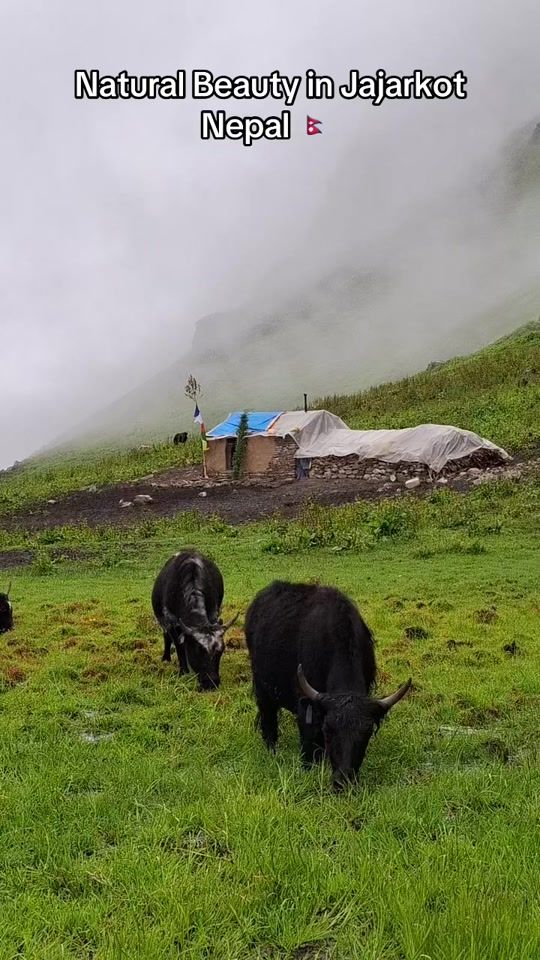 TikTok video thumbnail by prakashrokaya143