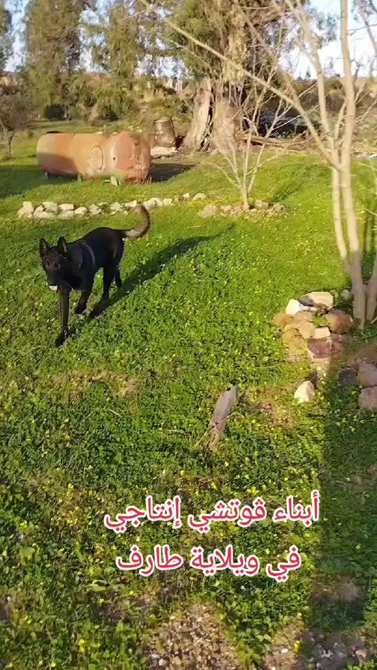 TikTok video thumbnail by mali_noi07
