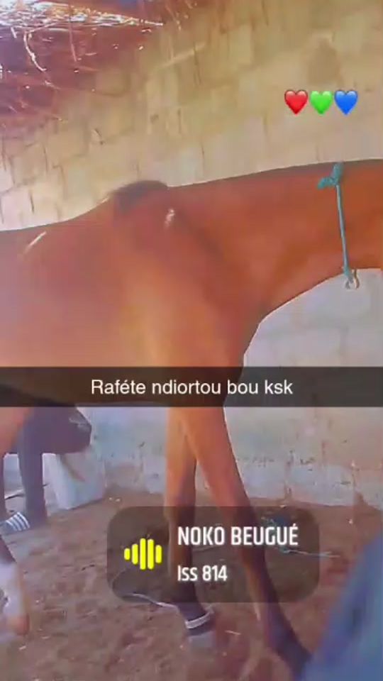 TikTok video thumbnail by rafete.ndiorte