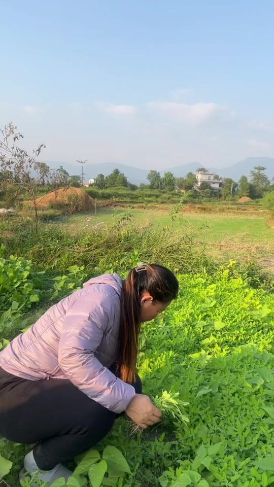 TikTok video thumbnail by dhanusaru232