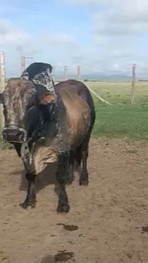 TikTok video thumbnail by user9966978587341