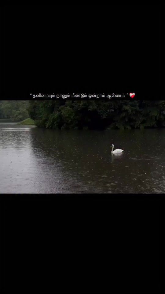 TikTok video thumbnail by crazy_status3