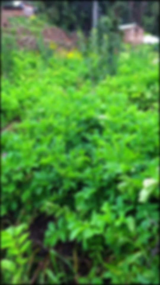TikTok video thumbnail by saritks