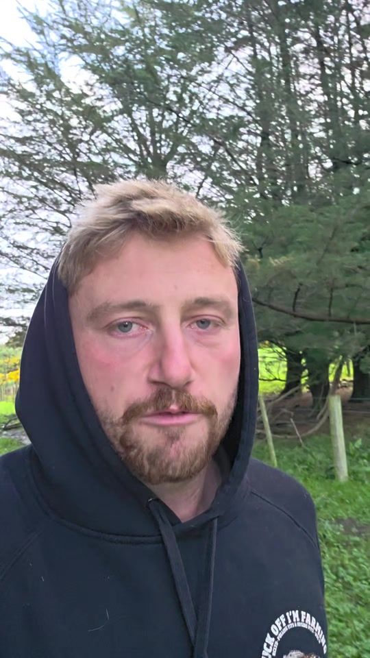 TikTok video thumbnail by georgefarms