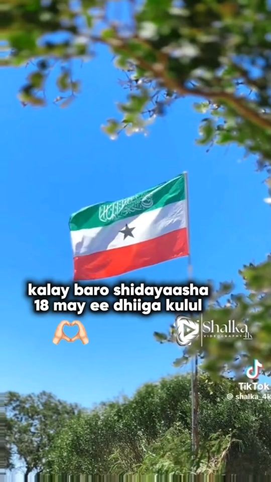 TikTok video thumbnail by boramajano2