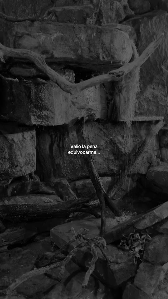 TikTok video thumbnail by paco.gala