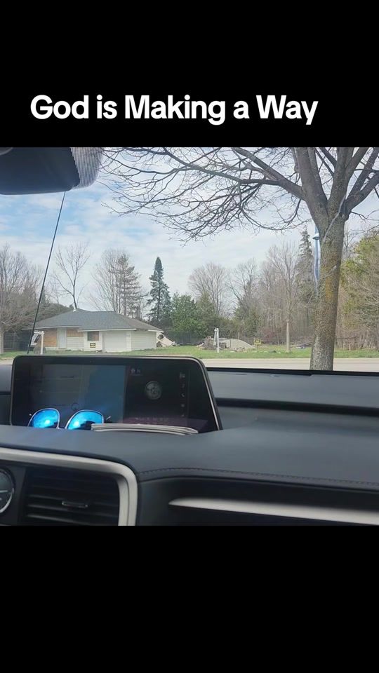 TikTok video thumbnail by swannyswanny75