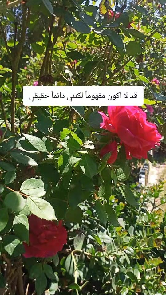 TikTok video thumbnail by p_13_1