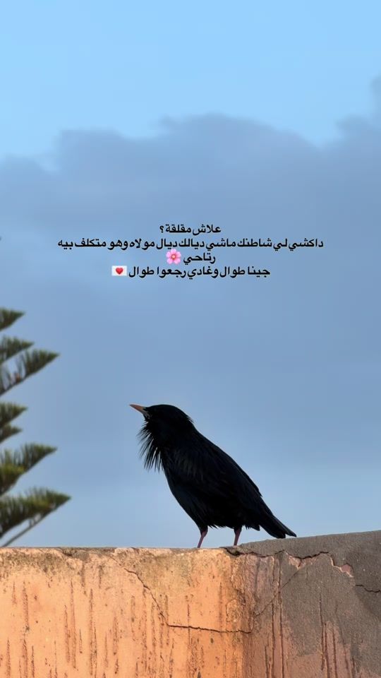 TikTok video thumbnail by coach_bi7a