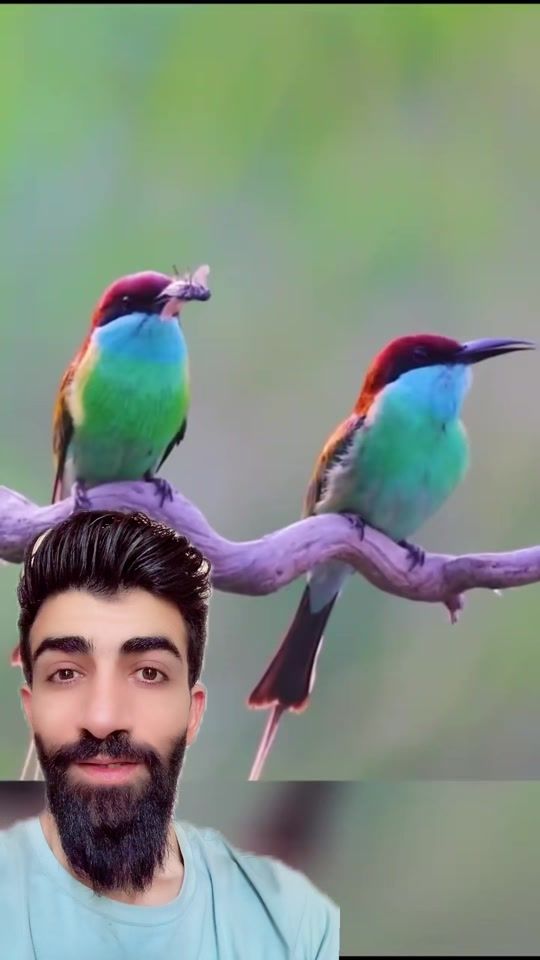 TikTok video thumbnail by yman1992h