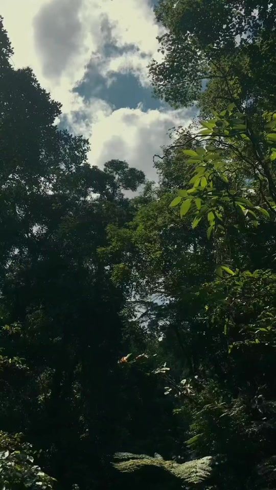 TikTok video thumbnail by brno_62