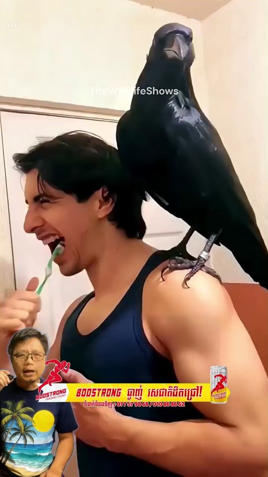 TikTok video thumbnail by monocharanai