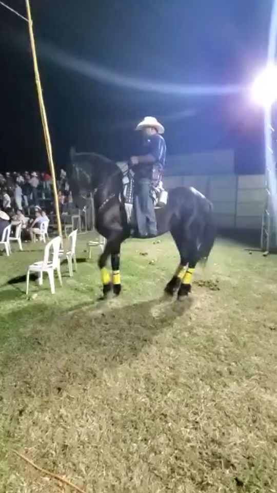 TikTok video thumbnail by fransiscoblanco0