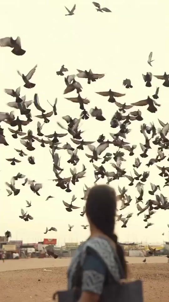 TikTok video thumbnail by sha..023