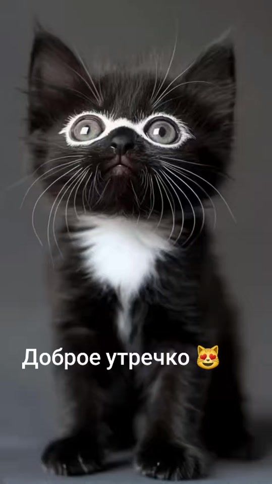 TikTok video thumbnail by alesya.rus09