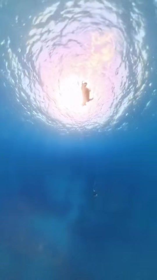 TikTok video thumbnail by saheb.alzel