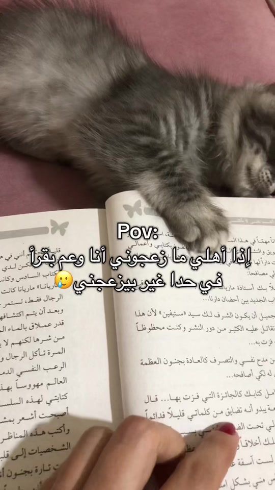 TikTok video thumbnail by antares.05