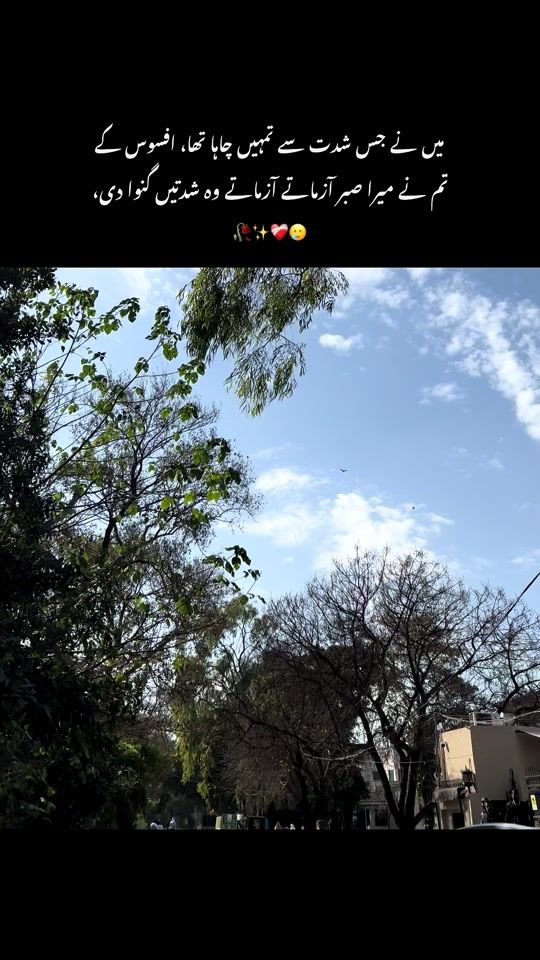 TikTok video thumbnail by lyricalworld39