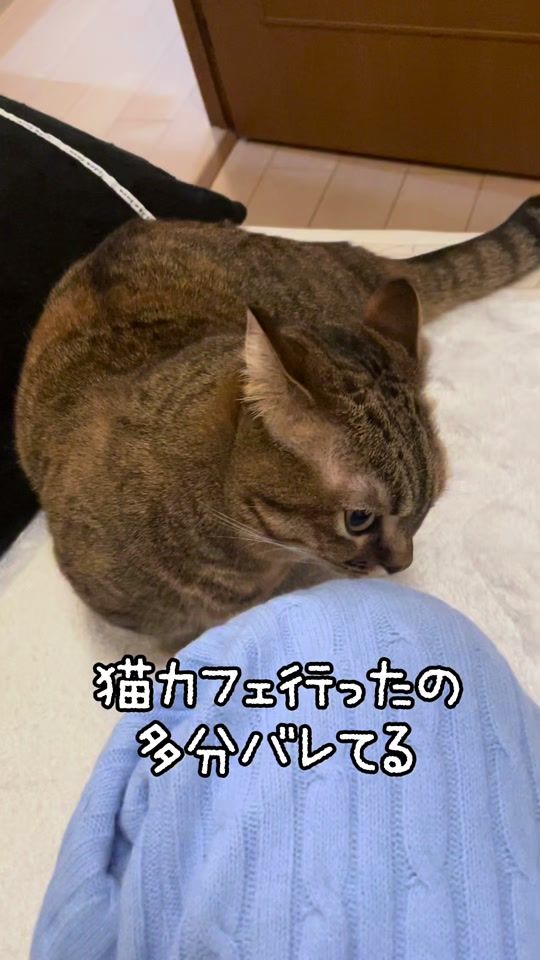 TikTok video thumbnail by mizore1214