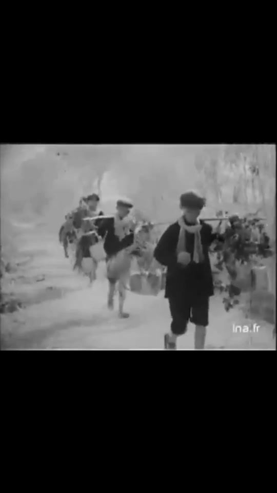 TikTok video thumbnail by world.war20