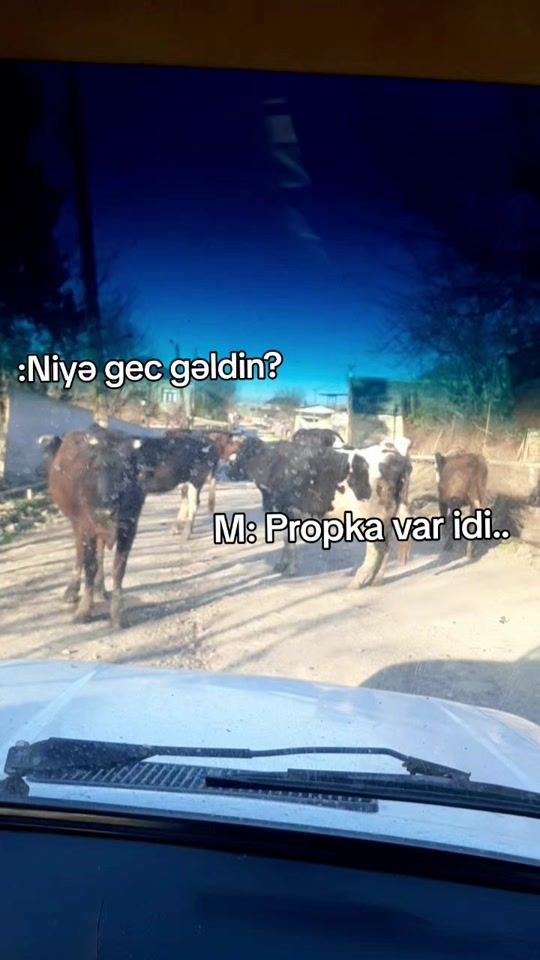 TikTok video thumbnail by imanovhl
