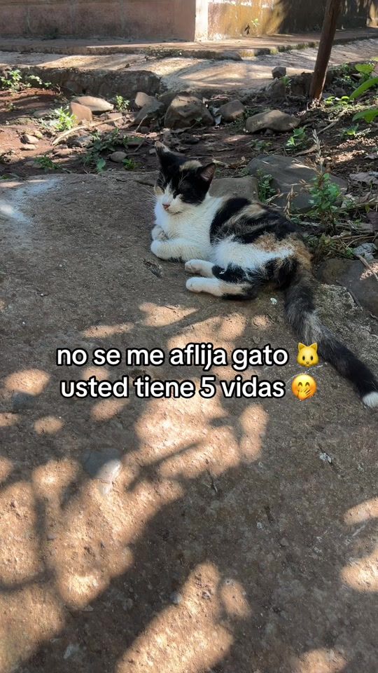TikTok video thumbnail by josueescobar7909