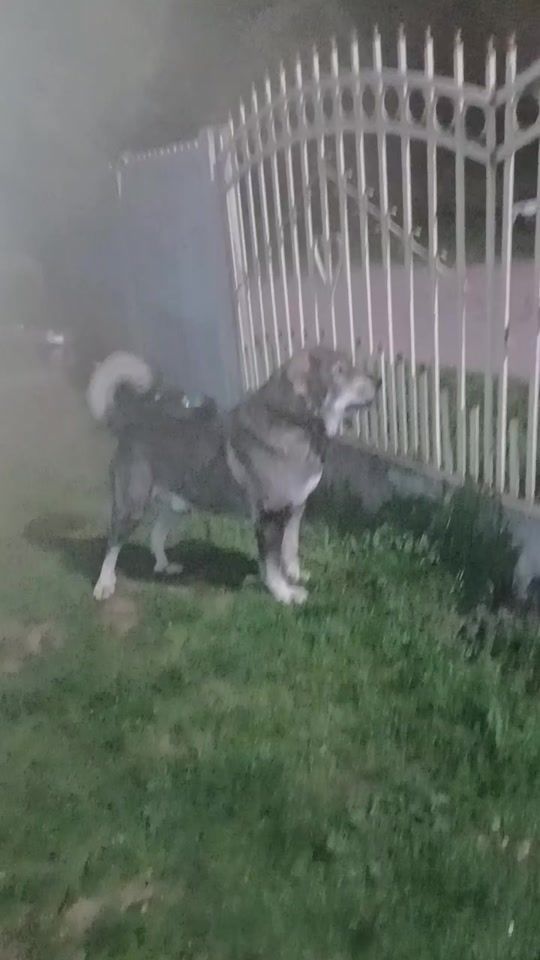 TikTok video thumbnail by bigori.mirosal