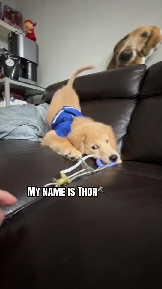 TikTok video thumbnail by nicool.ry