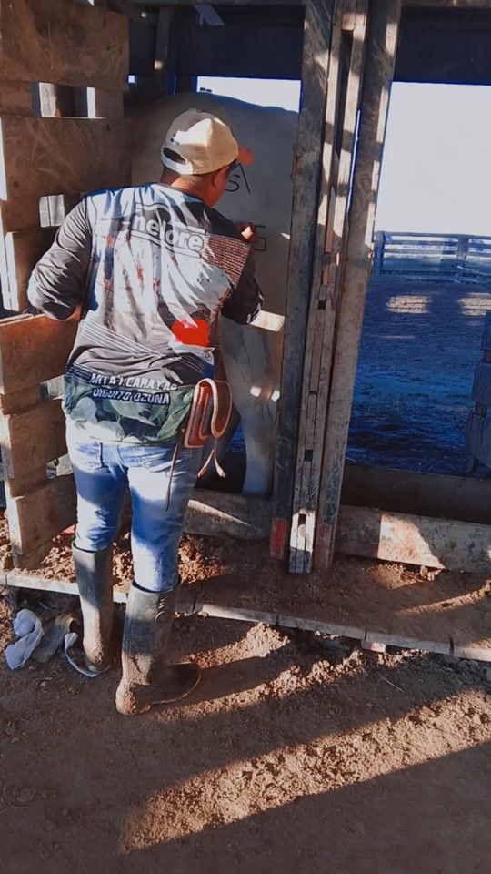 TikTok video thumbnail by dieguitoozuna