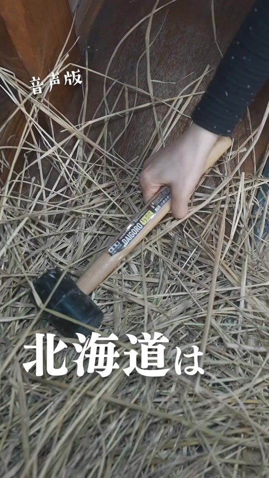 TikTok video thumbnail by rinninniku