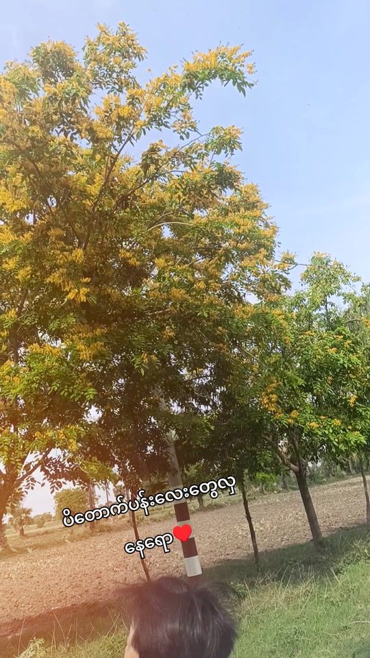 TikTok video thumbnail by sun7770