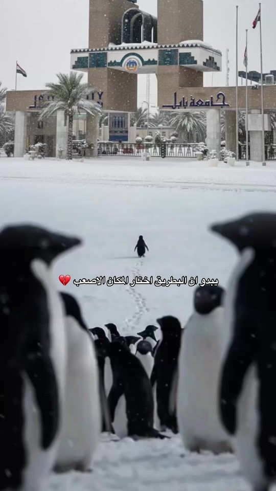 TikTok video thumbnail by university.babylon