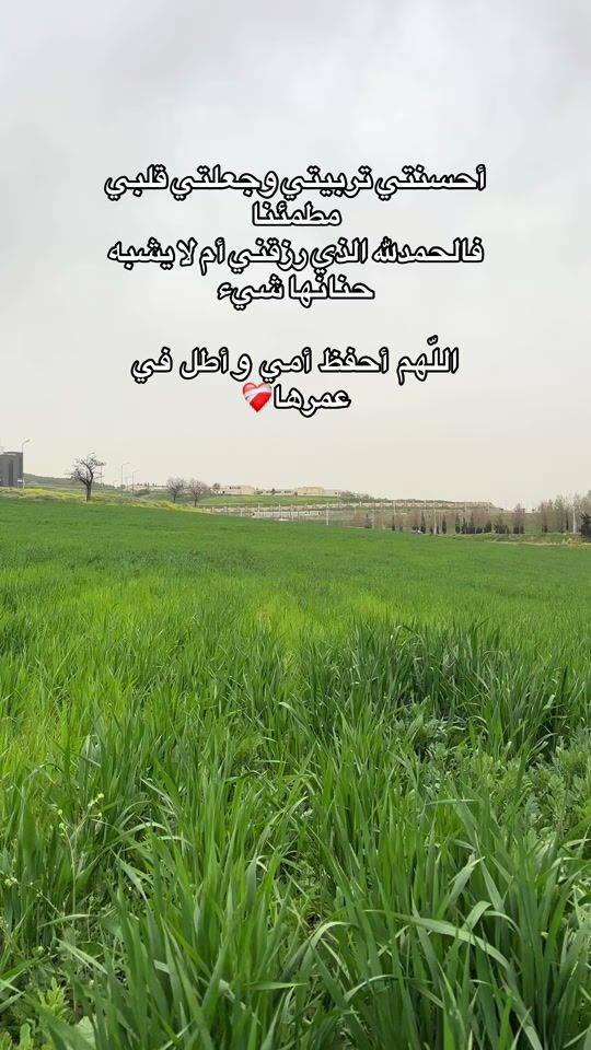 TikTok video thumbnail by anes_deen