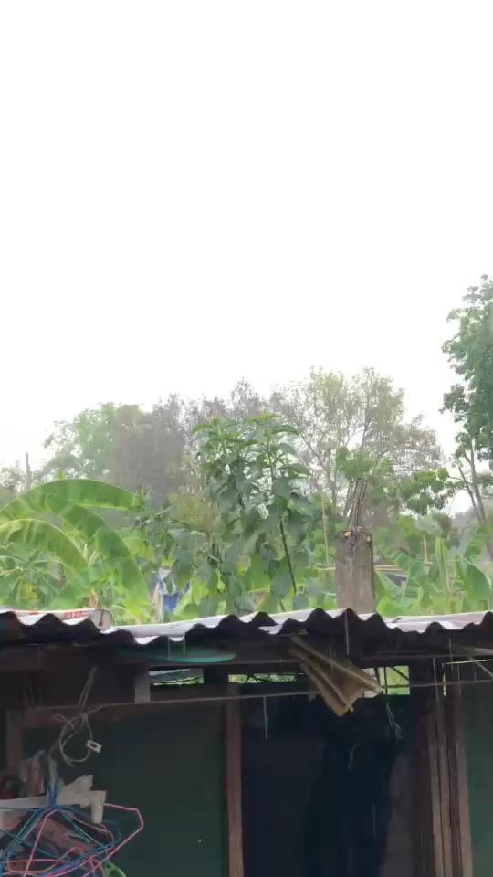 TikTok video thumbnail by moom12453