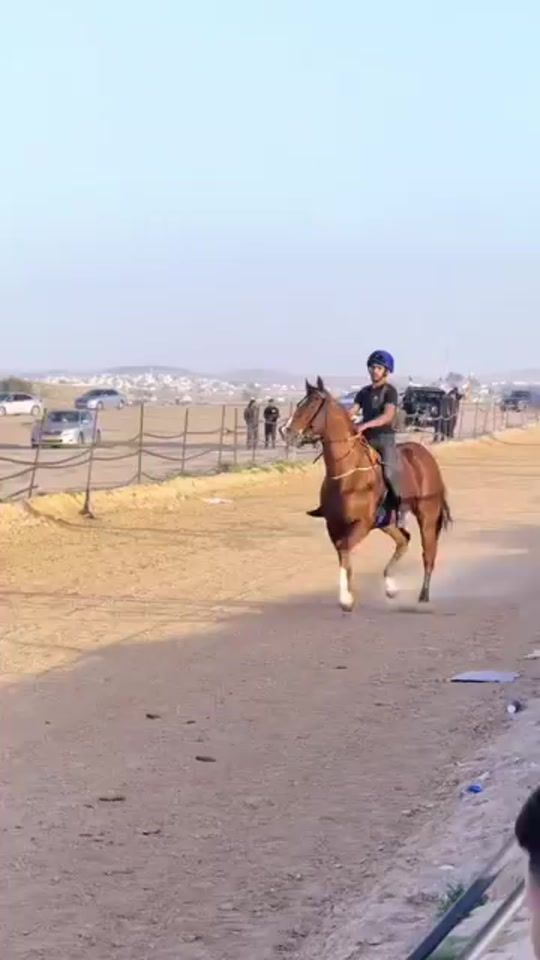 TikTok video thumbnail by sog_sog123