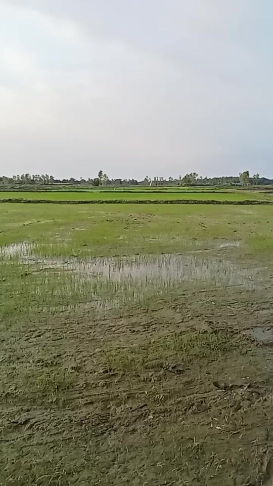 TikTok video thumbnail by ei2812