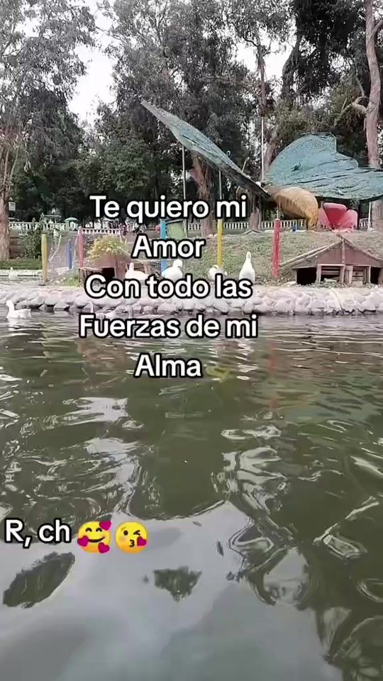 TikTok video thumbnail by solterax100prea
